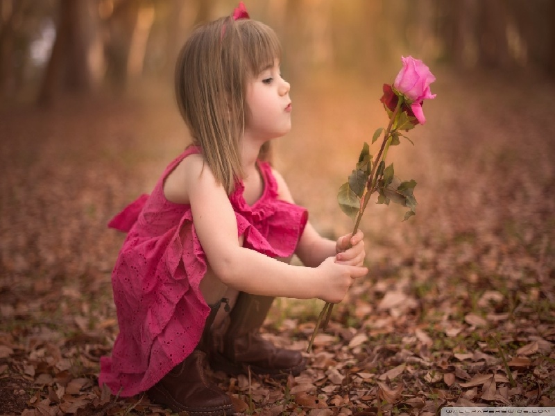 医院能试管吗（大白检测试管）